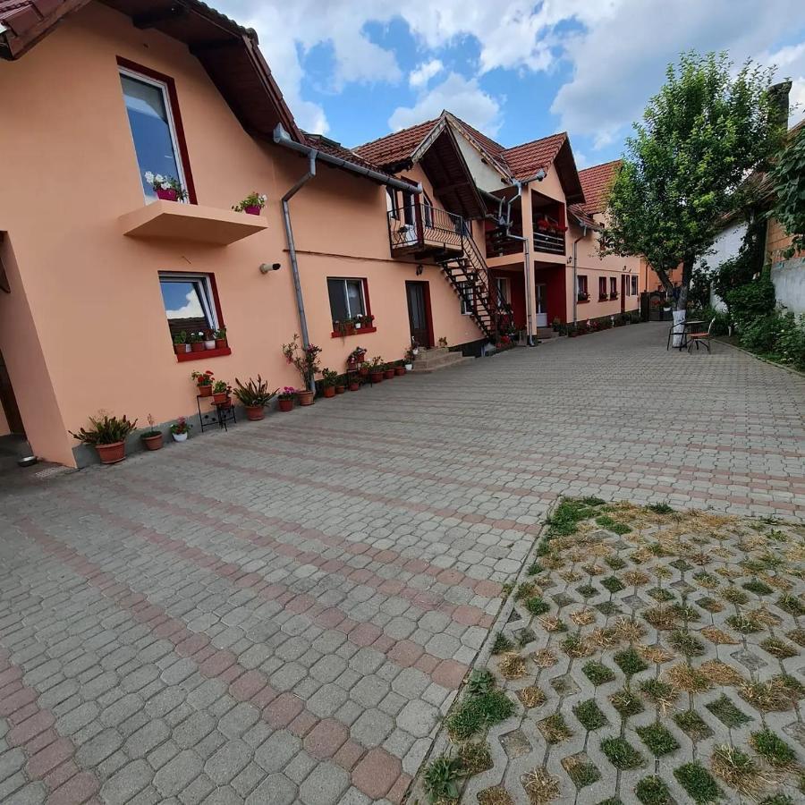 Zărneşti Vila Vladut מראה חיצוני תמונה