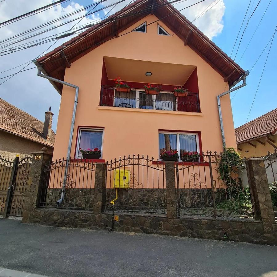 Zărneşti Vila Vladut מראה חיצוני תמונה