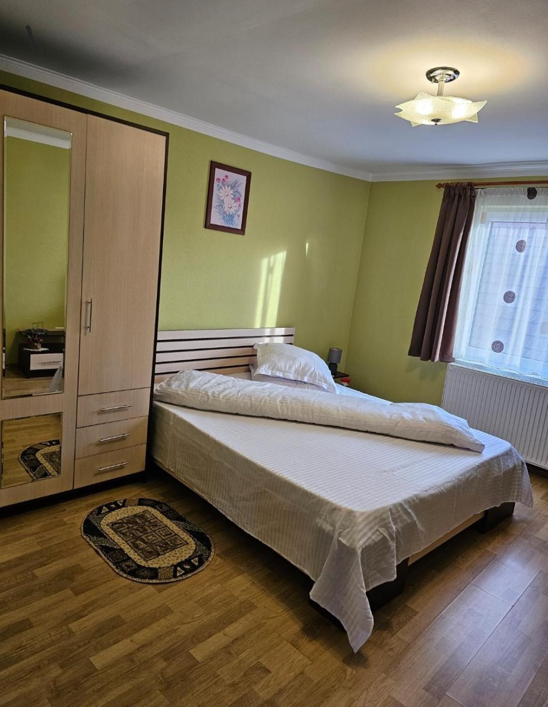 Zărneşti Vila Vladut מראה חיצוני תמונה