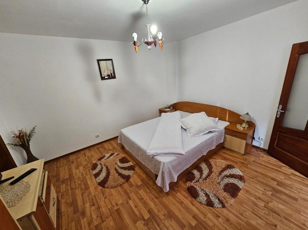 Zărneşti Vila Vladut מראה חיצוני תמונה