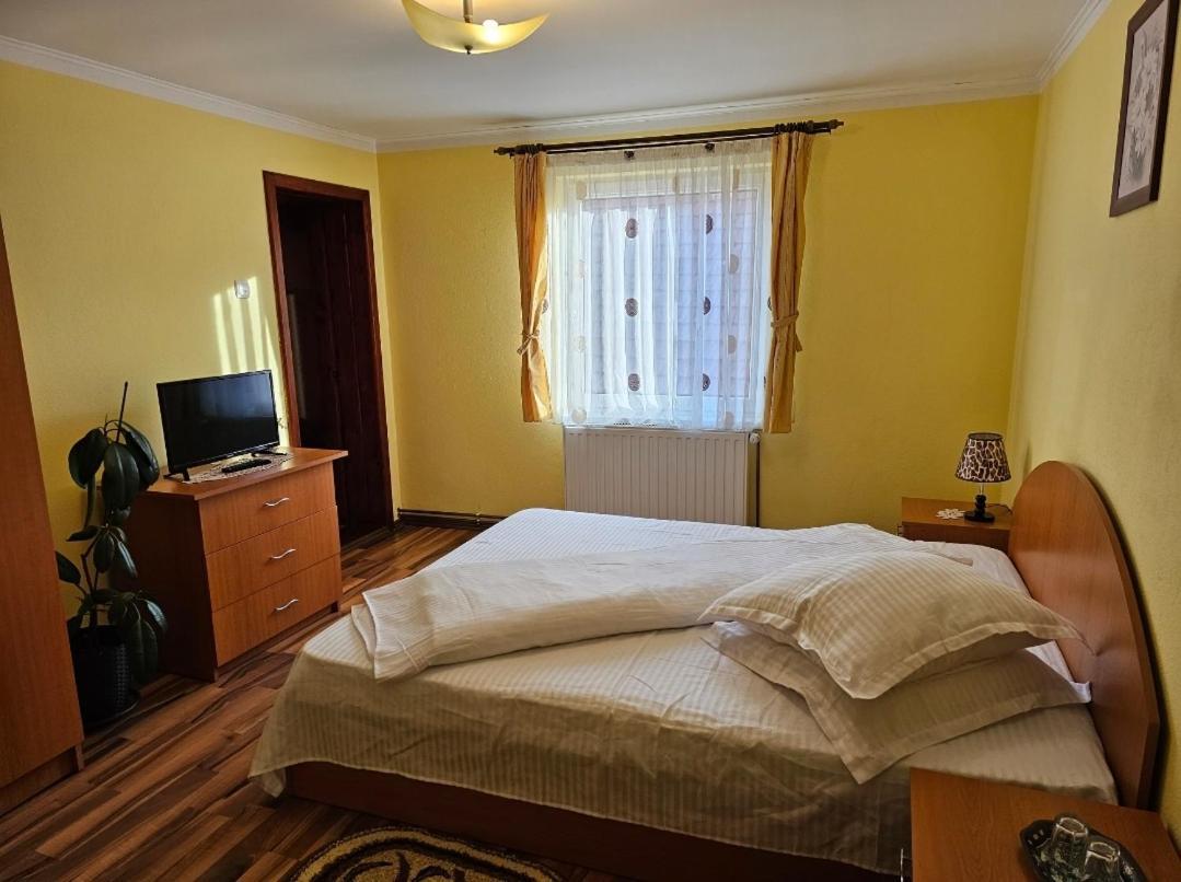 Zărneşti Vila Vladut מראה חיצוני תמונה