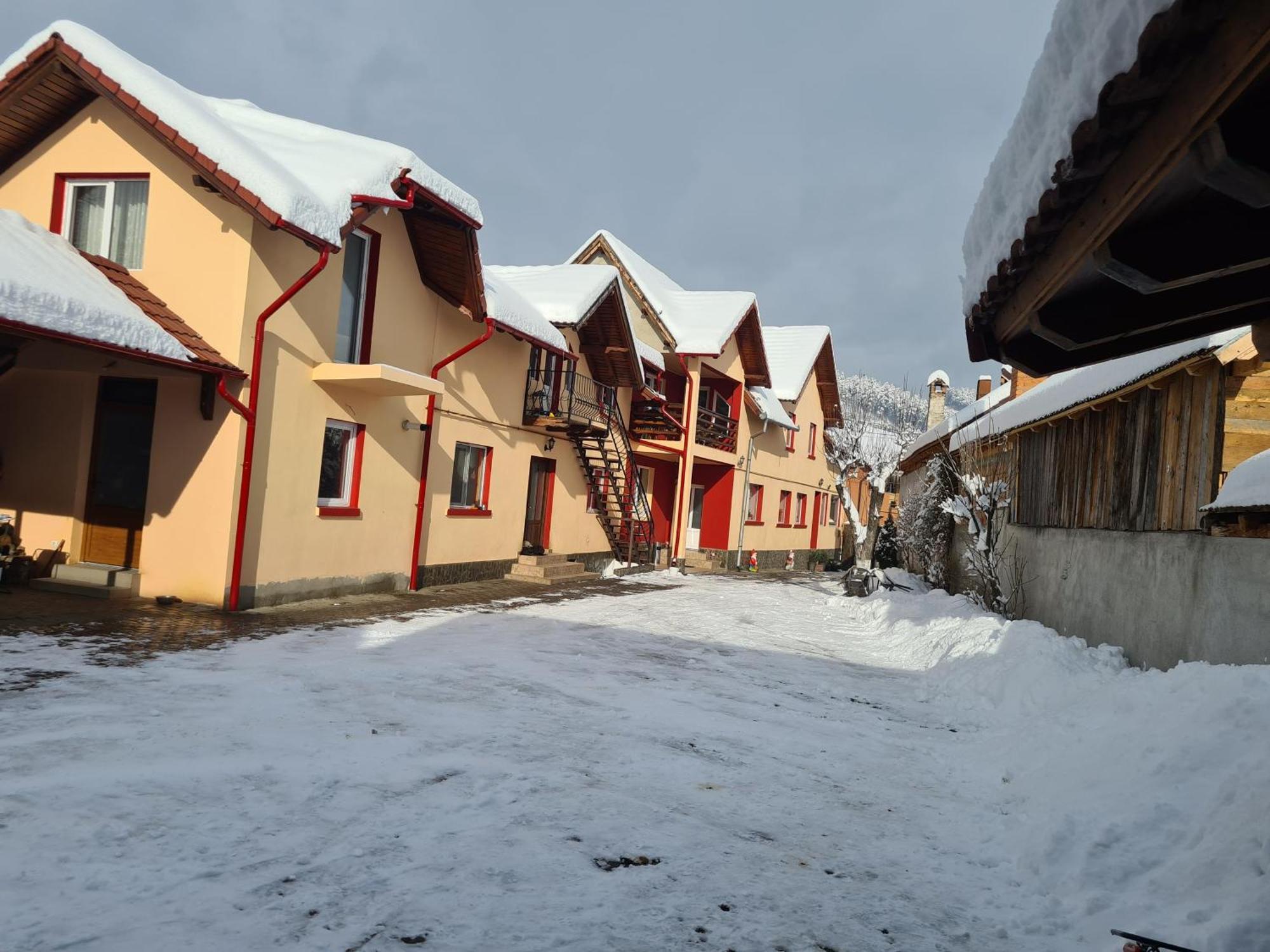 Zărneşti Vila Vladut מראה חיצוני תמונה