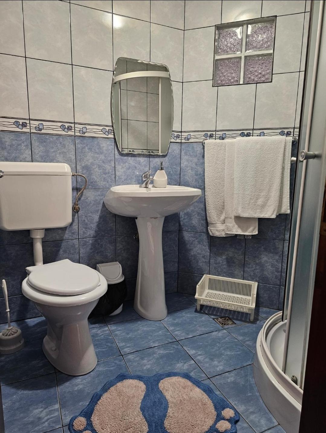 Zărneşti Vila Vladut מראה חיצוני תמונה
