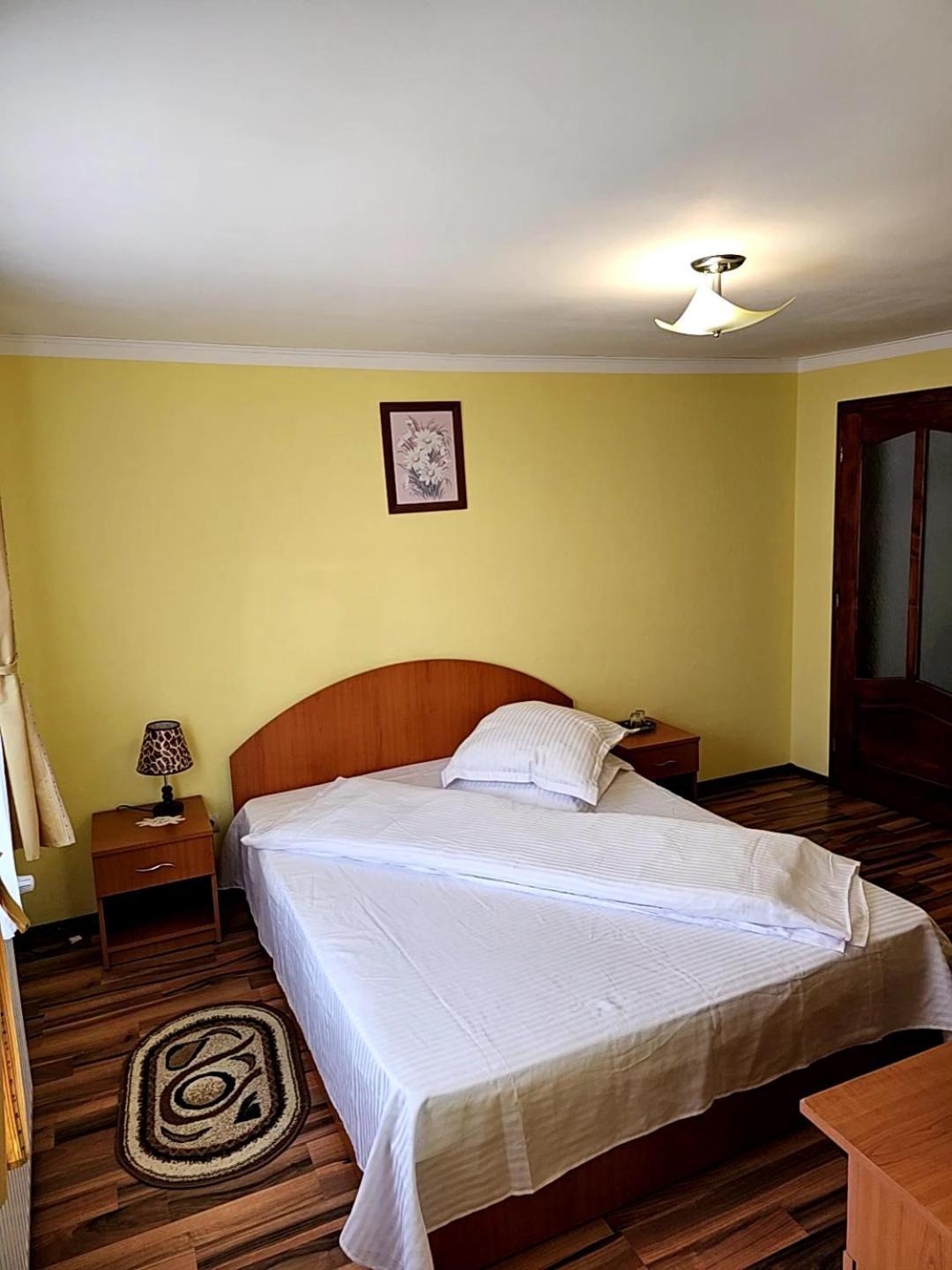 Zărneşti Vila Vladut מראה חיצוני תמונה